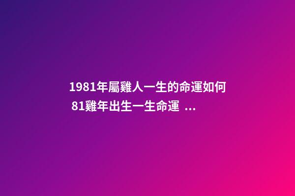 1981年屬雞人一生的命運如何 81雞年出生一生命運，1981年屬雞人的命運